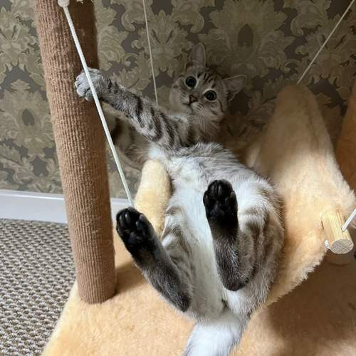 Photo #12239376