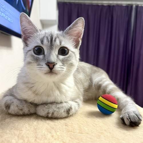 Photo #12239379