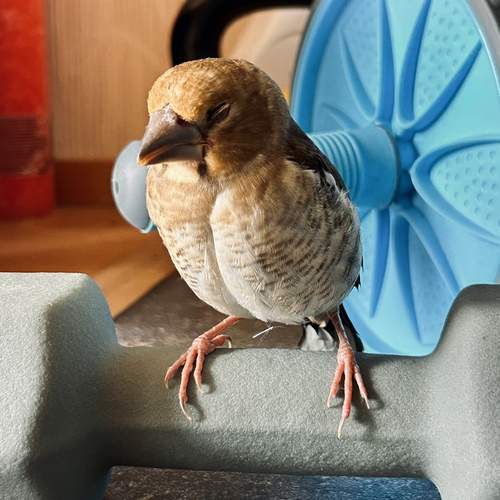 Photo #12239382