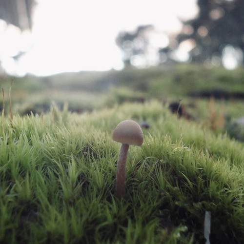 Photo #12239411
