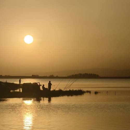 Photo #12239501