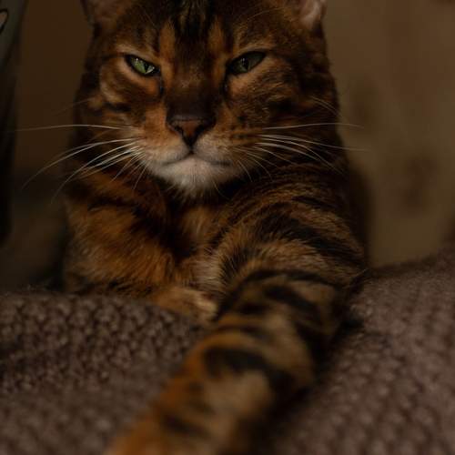 Photo #12239605