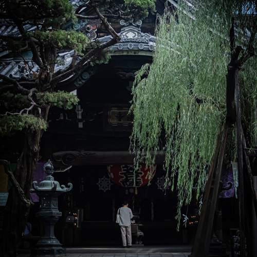 Photo #12239865