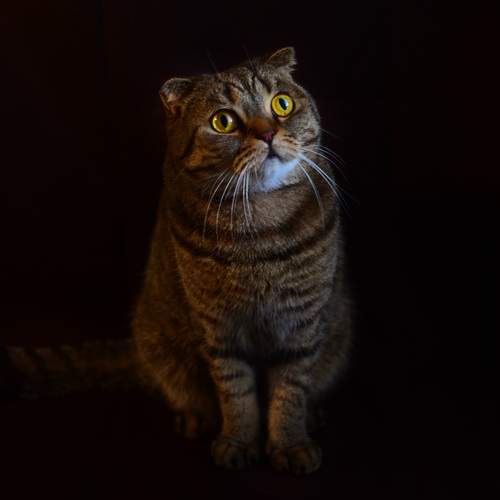 Photo #12240345