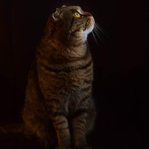 Photo #12240348
