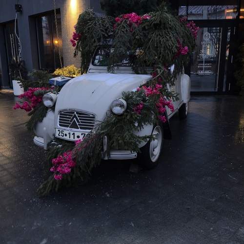Photo #12240529