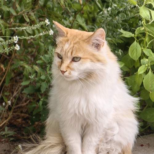 Photo #12240536