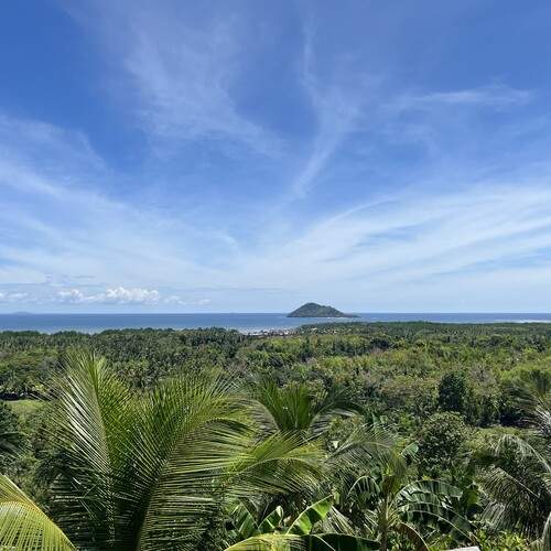 Island\'s Verdant Heart