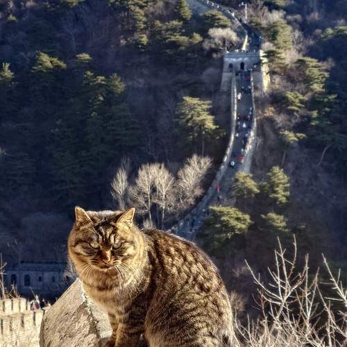Photo #12240667
