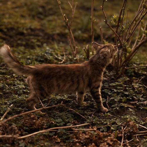 Photo #12240868