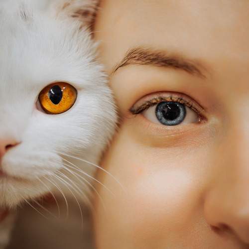 Photo #12240921
