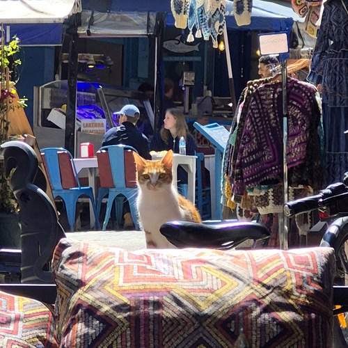 Photo #12240977
