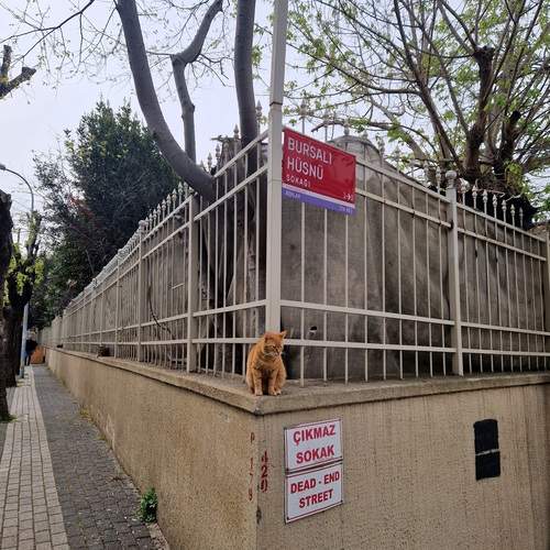 Photo #12241005
