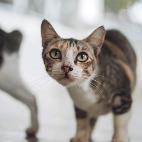 Photo #12241080