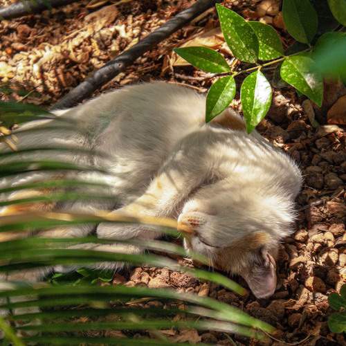 Photo #12241243