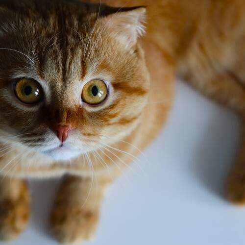 Photo #12241310