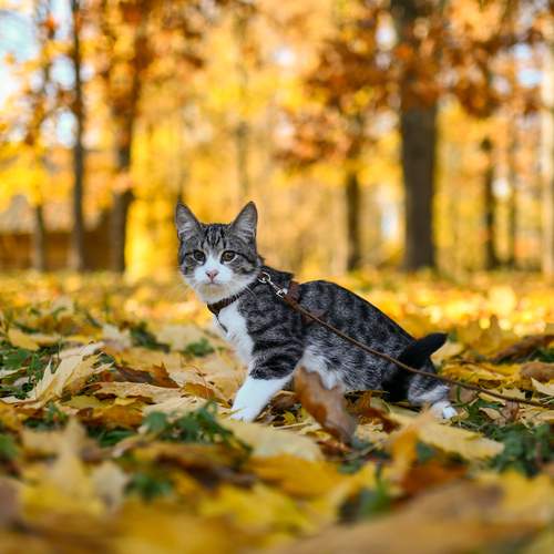 Фотография #12241334