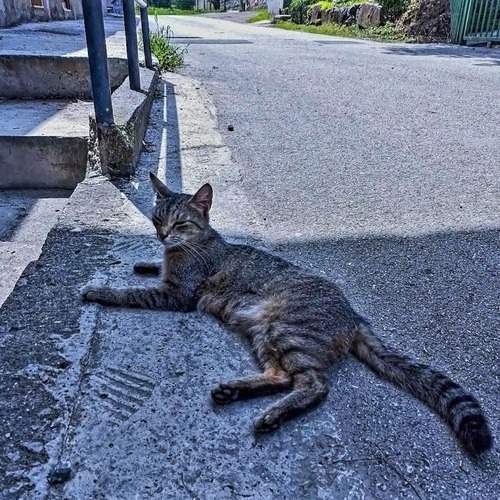 Photo #12241508