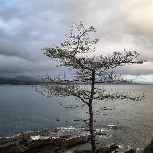 Photo #12241737