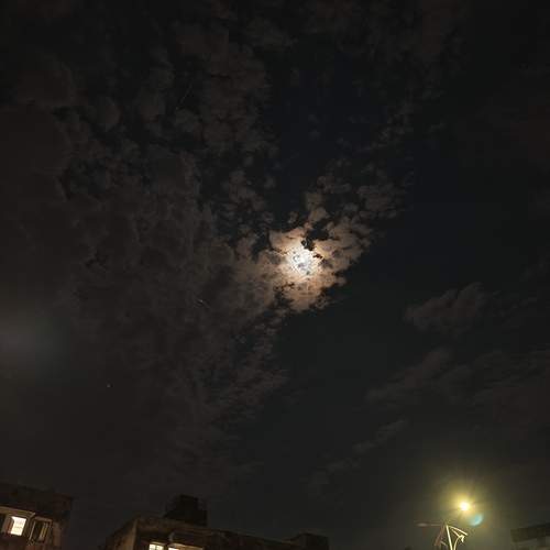 Photo #12241760