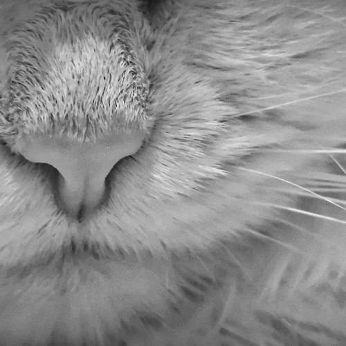 Photo #12241772