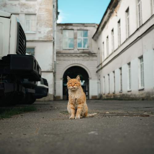 Photo #12242256