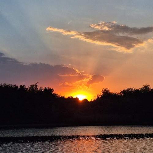 Photo #12242264