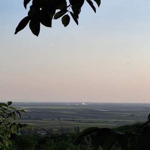 Photo #12242277