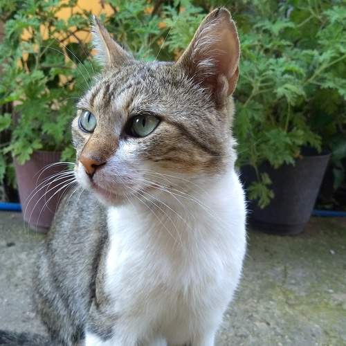 Photo #12242336