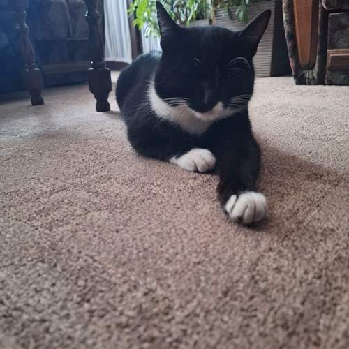 Photo #12242356