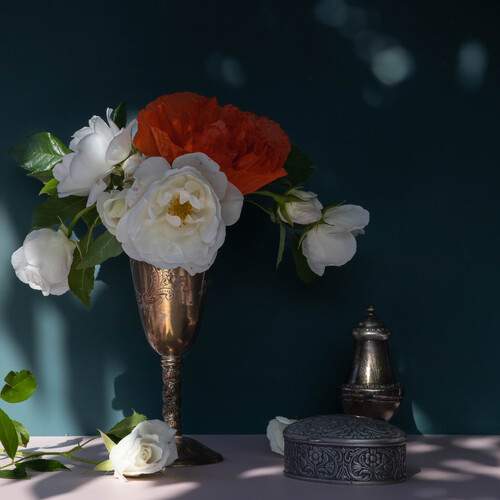 Photo #12242494
