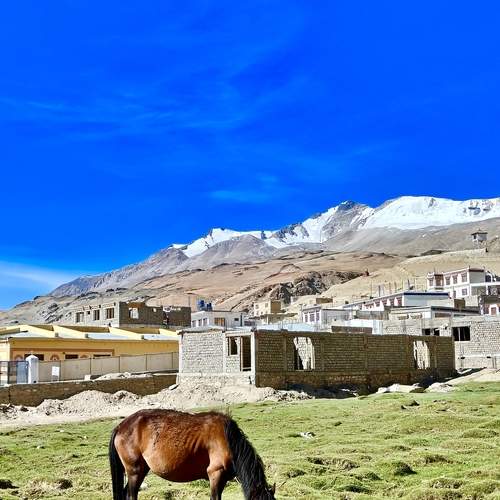 Photo #12242817