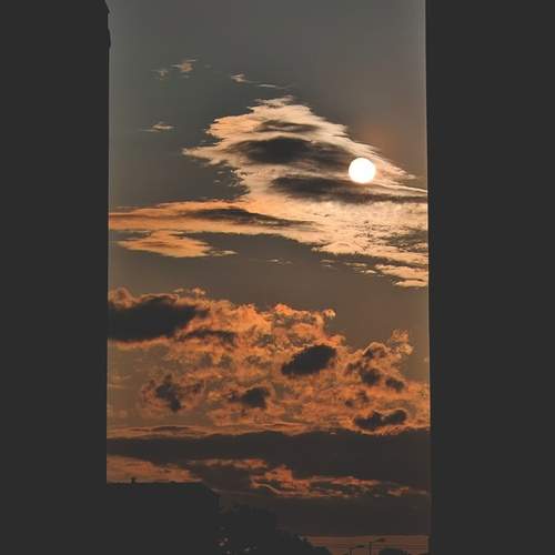 Photo #12242942