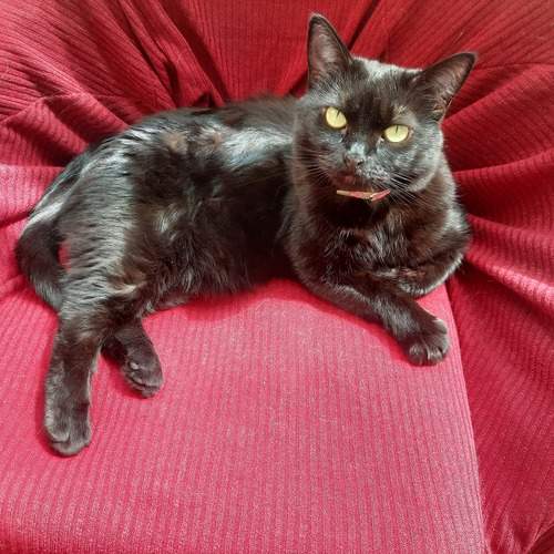 Photo #12242976