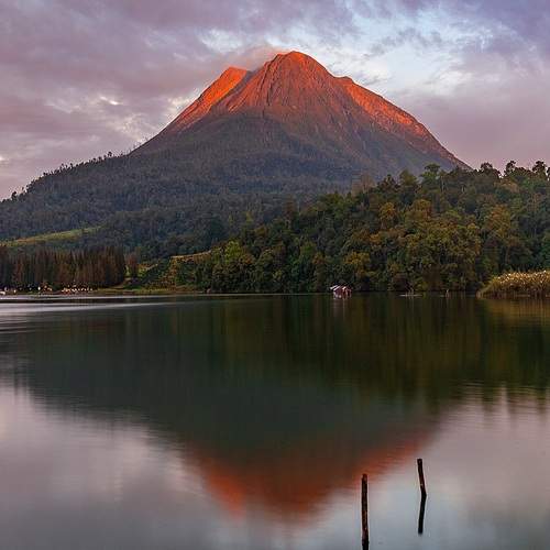 Фотография #12243062