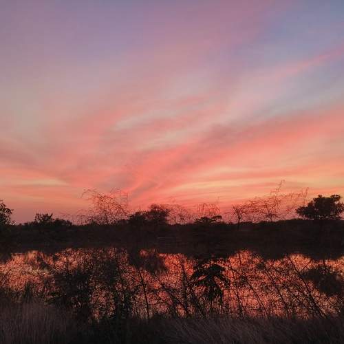 Photo #12243102