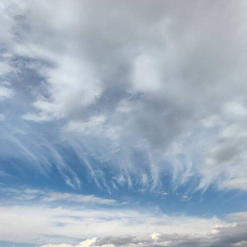 Photo #12243237