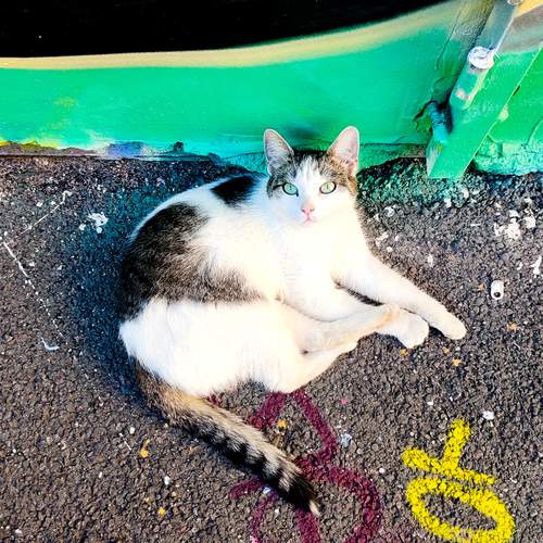 Photo #12243330