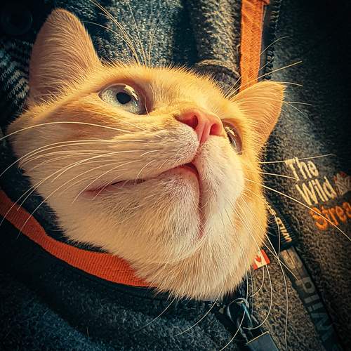 Photo #12243359