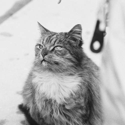 Photo #12243393