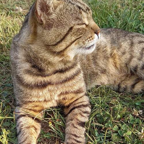 Photo #12243686