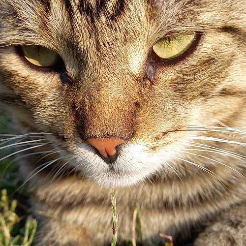 Photo #12243690