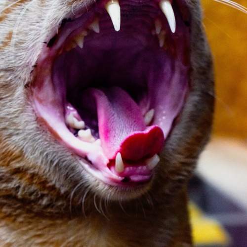 Photo #12244076