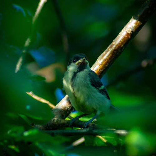 Photo #12244115