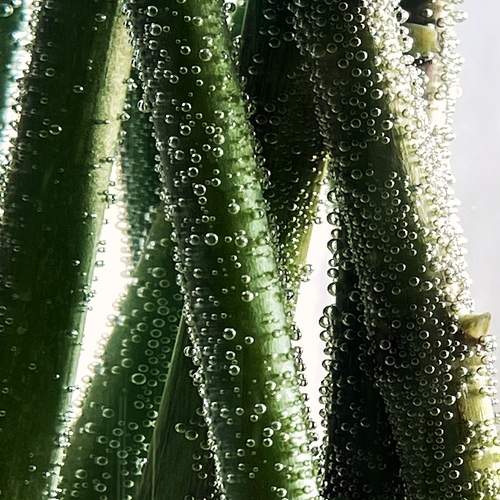 Photo #12244200
