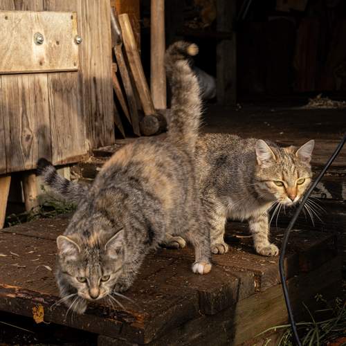Photo #12244580