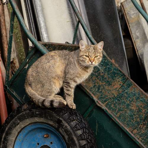 Photo #12244585