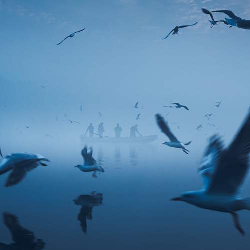 Photo #12244712