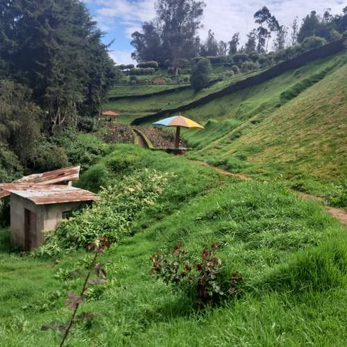 Photo #12244883