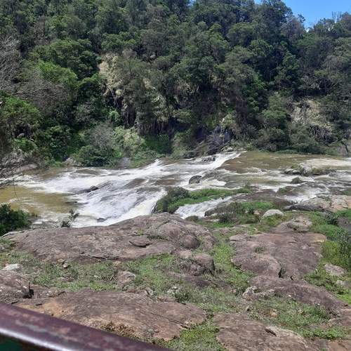 Photo #12244897